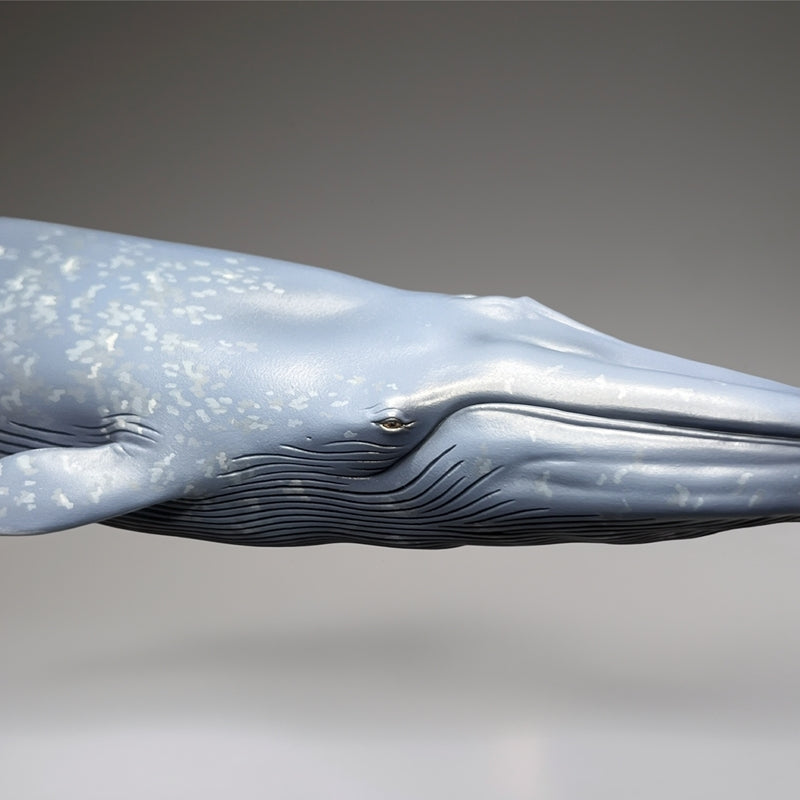 (Figure) Blue Whale National Museum of Nature and Science Permanent Exhibition (Outdoor Exhibit) Complete Figure
