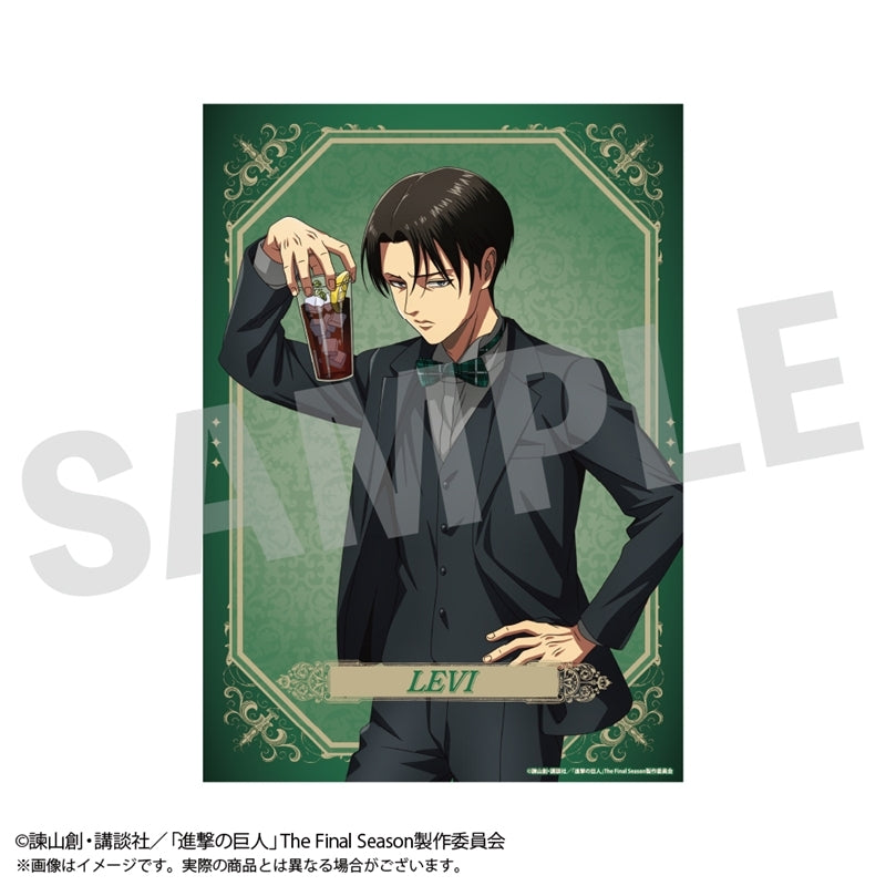 (Goods - Othere) Attack on Titan Visual Sheet Levi