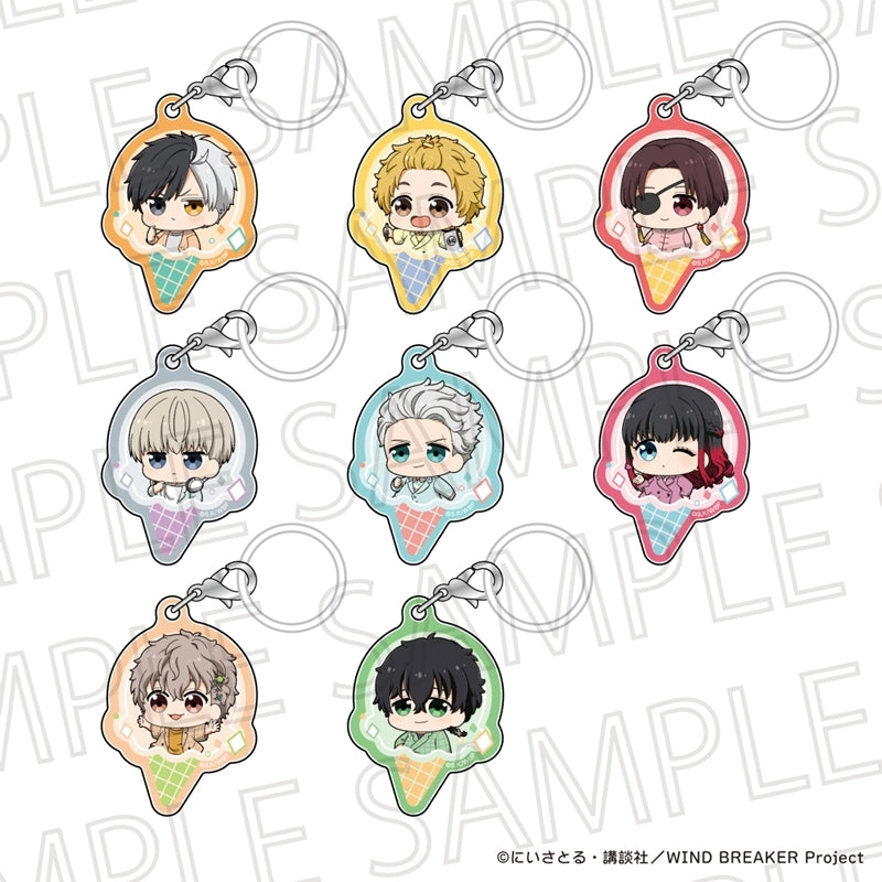 (1BOX=8)(Goods - Charm) WIND BREAKER Puchiteku Trading Multipurpose Tag