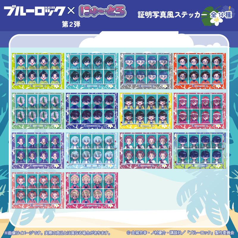 (Goods - Sticker) Blue Lock ID Card Photo Style Sticker Nyu~toro Vol.2 C Seishiro Nagi