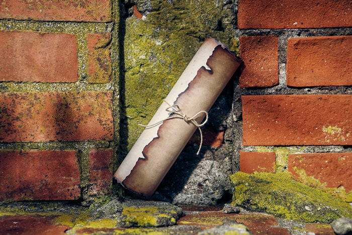 (Theme Song) Frieren: Beyond Journey's End TV Series OP: Yuusha by YOASOBI [Complete Production Run Limited Edition]