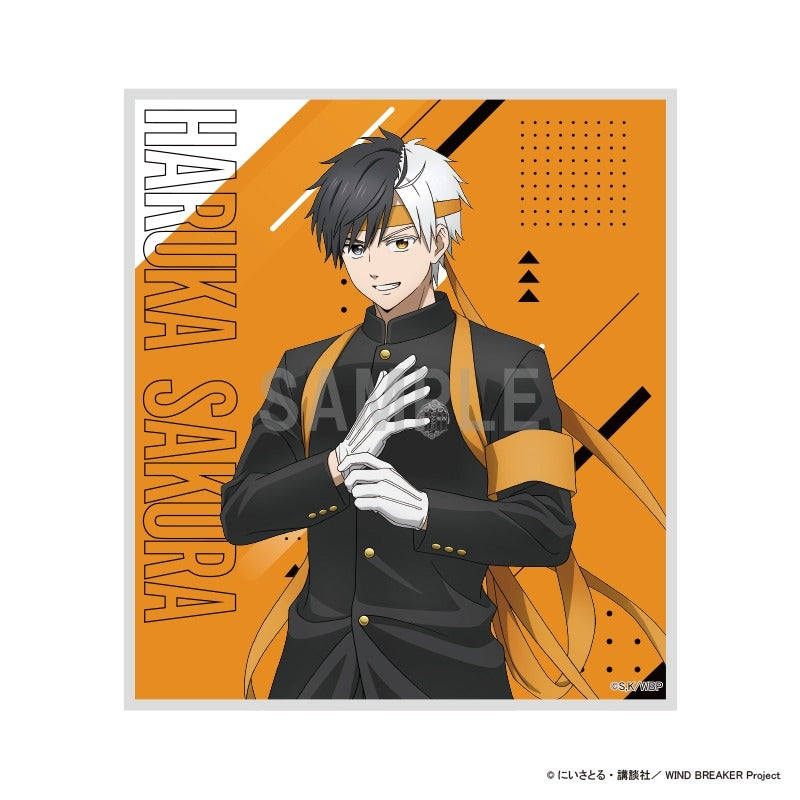 (Goods - Art Board) WIND BREAKER Mini Art Board Haruka Sakura Japanese Cheering Squad ver.