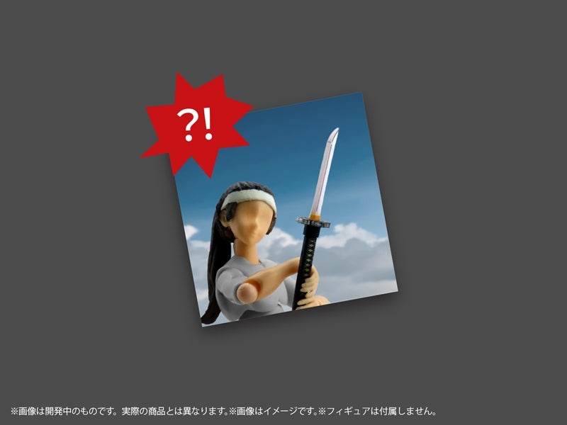 (Plastic Model Kit) Pripra Figure Weapons Warrior Accomplishments Vol.2 - Hatashijou no Saki ni