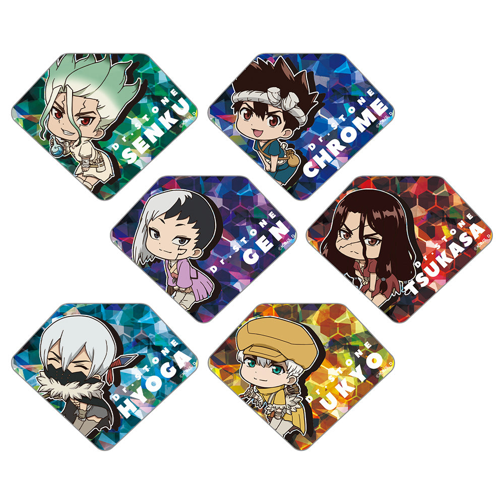 (1BOX=6)(Goods - Badge) Dr. STONE Trading Prism Badge