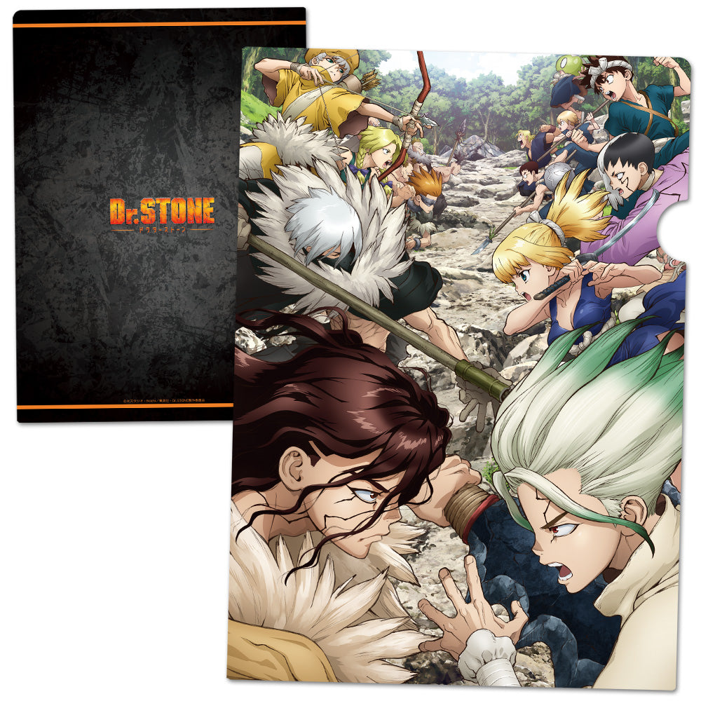 (Goods - Clear File) Dr. STONE Clear File A