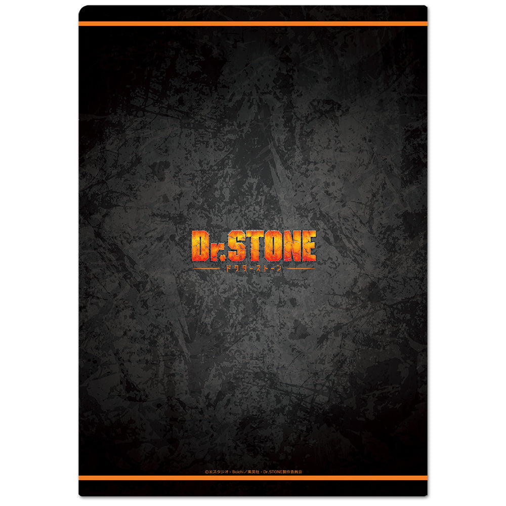 (Goods - Clear File) Dr. STONE Clear File A