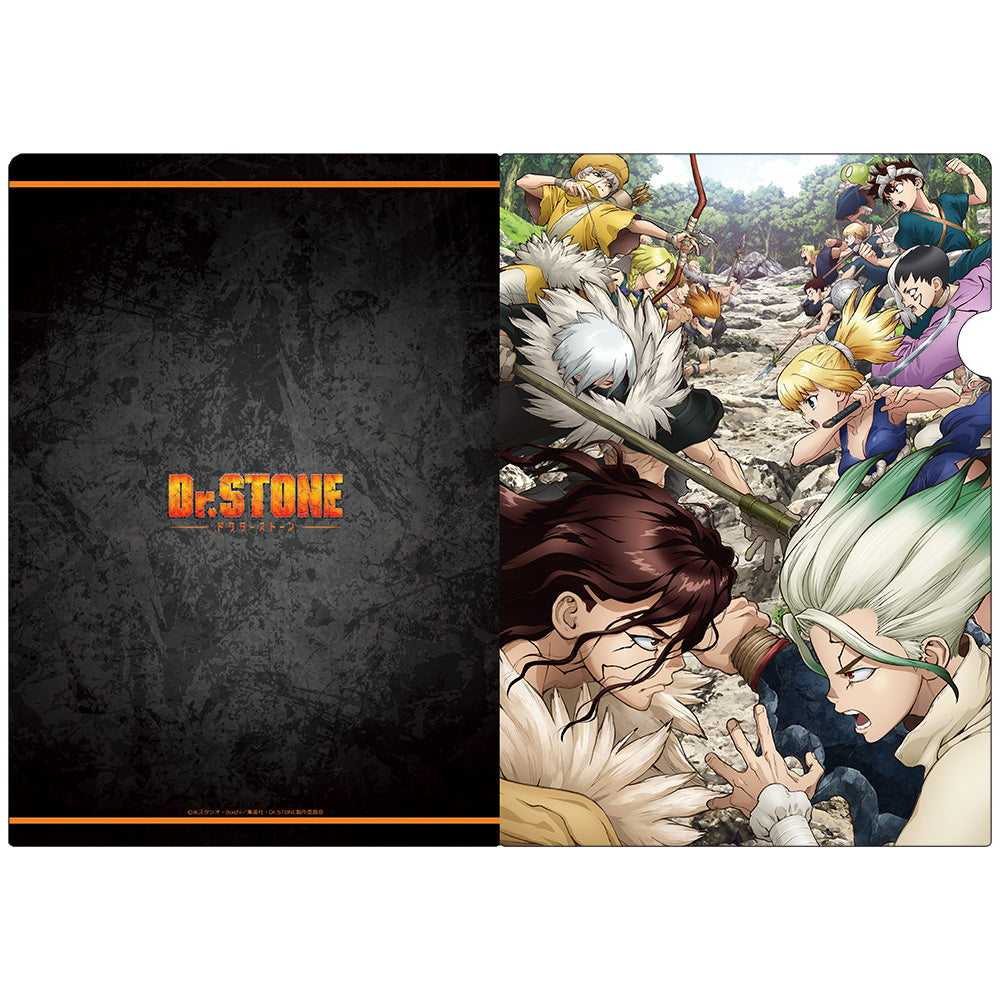 (Goods - Clear File) Dr. STONE Clear File A