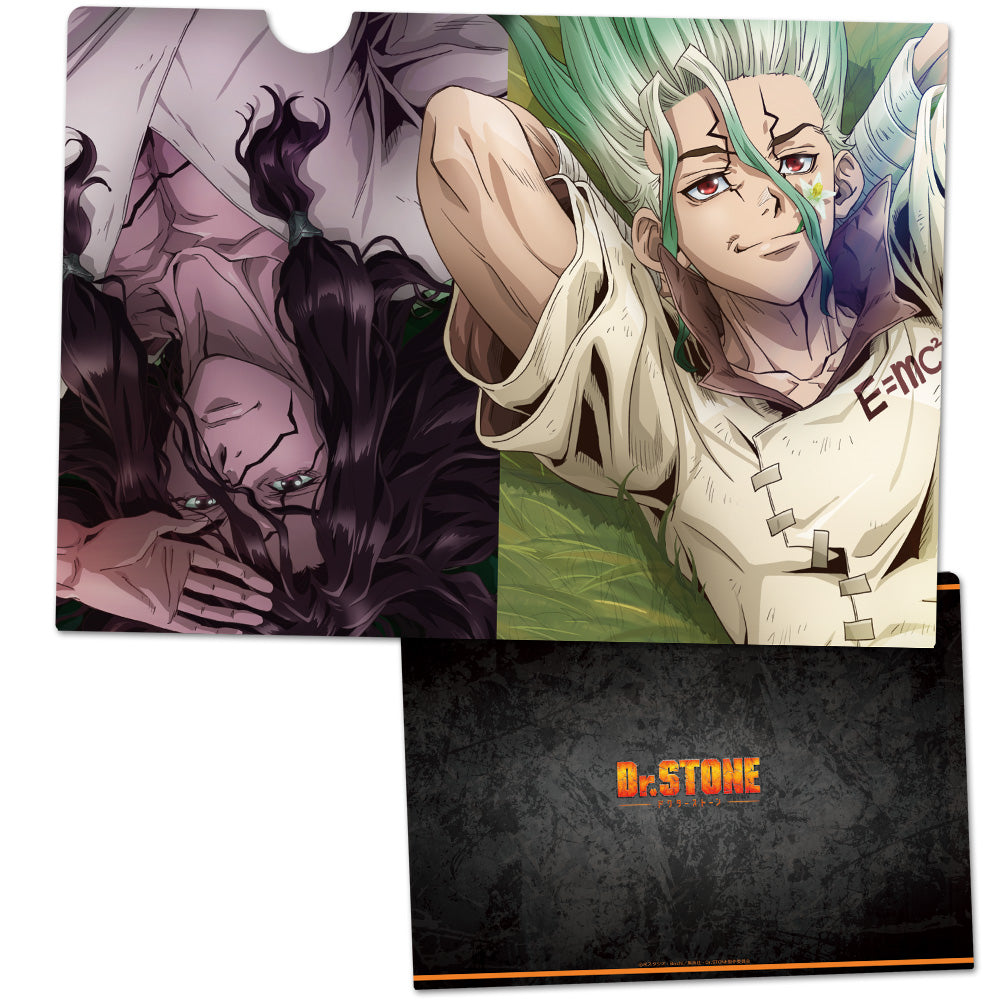 (Goods - Clear File) Dr. STONE Clear File B