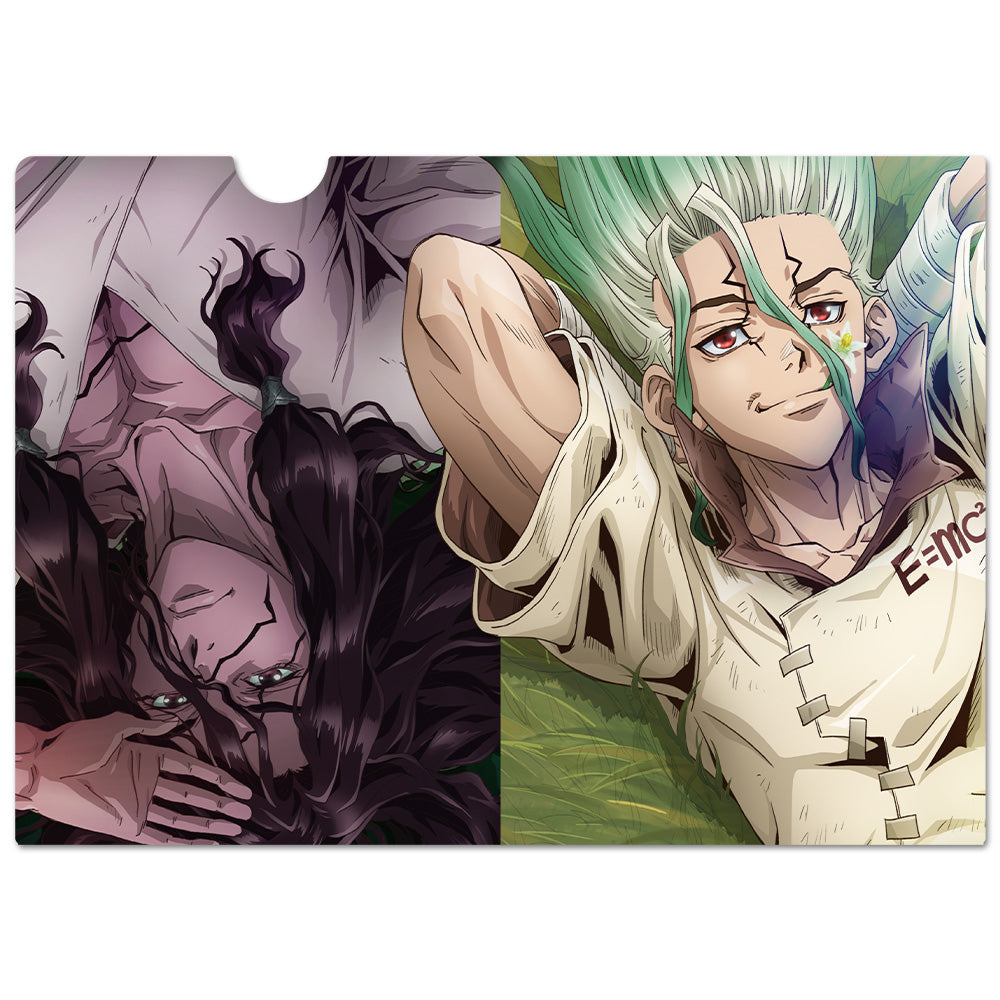 (Goods - Clear File) Dr. STONE Clear File B