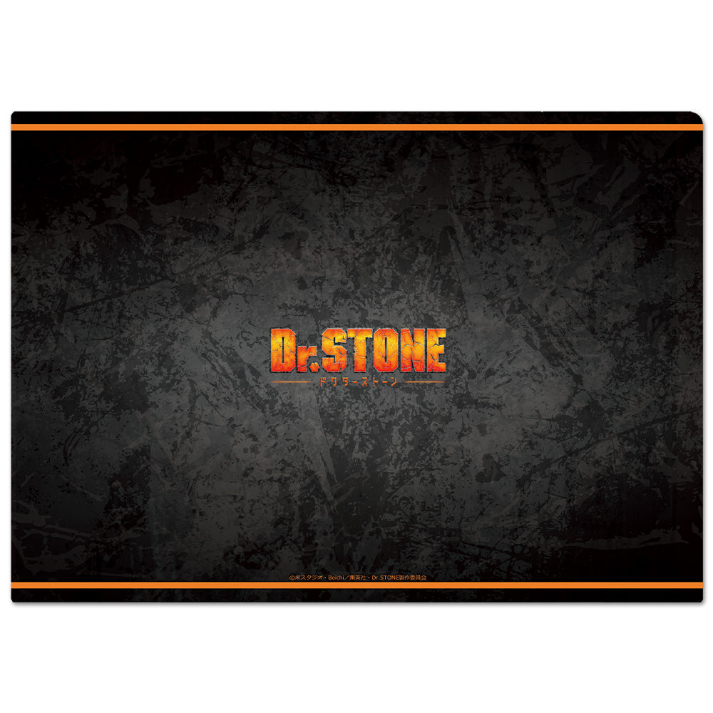 (Goods - Clear File) Dr. STONE Clear File B