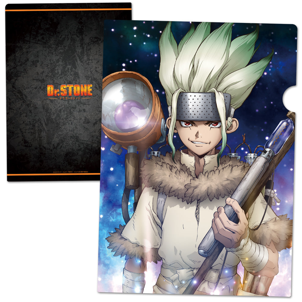 (Goods - Clear File) Dr. STONE Clear File C