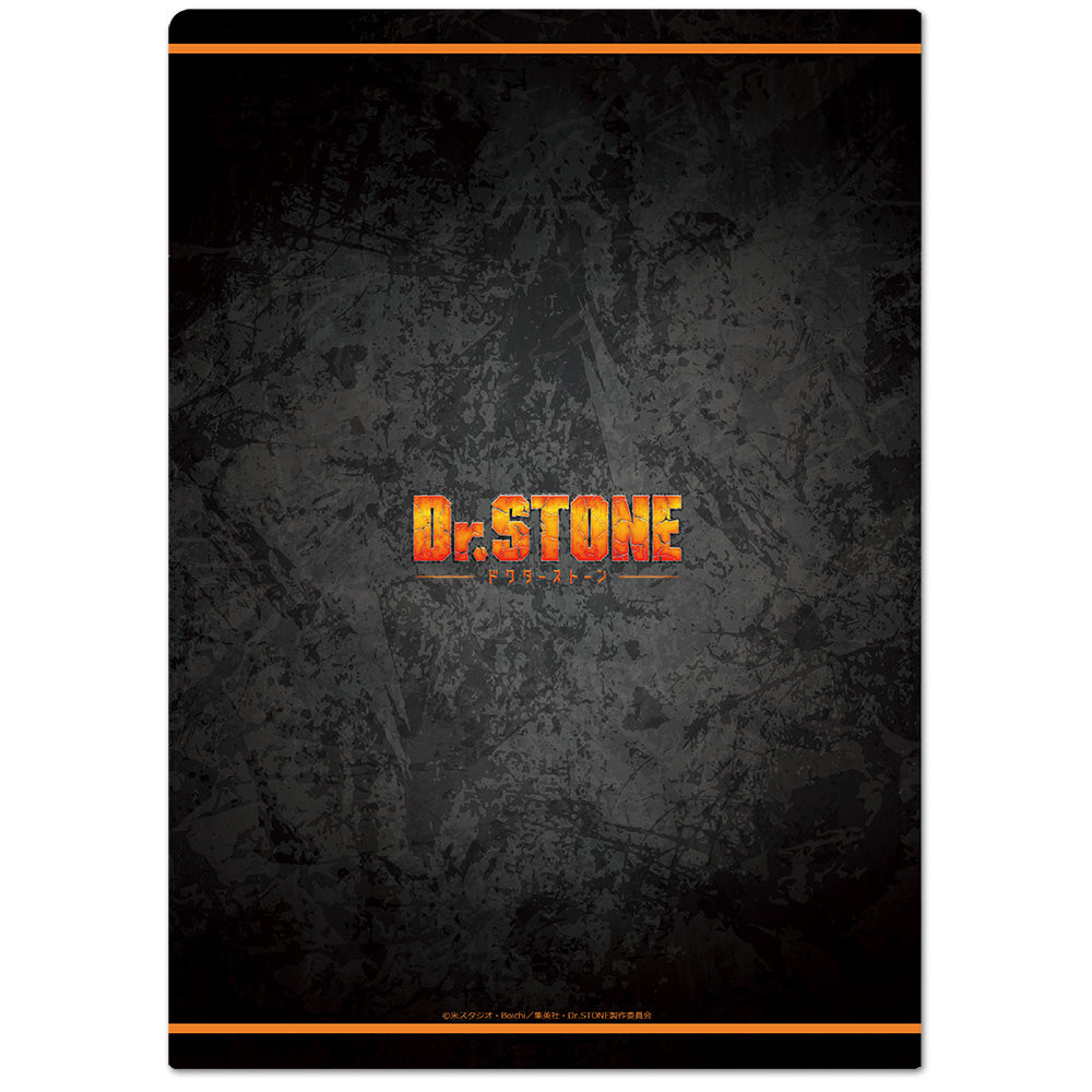 (Goods - Clear File) Dr. STONE Clear File C