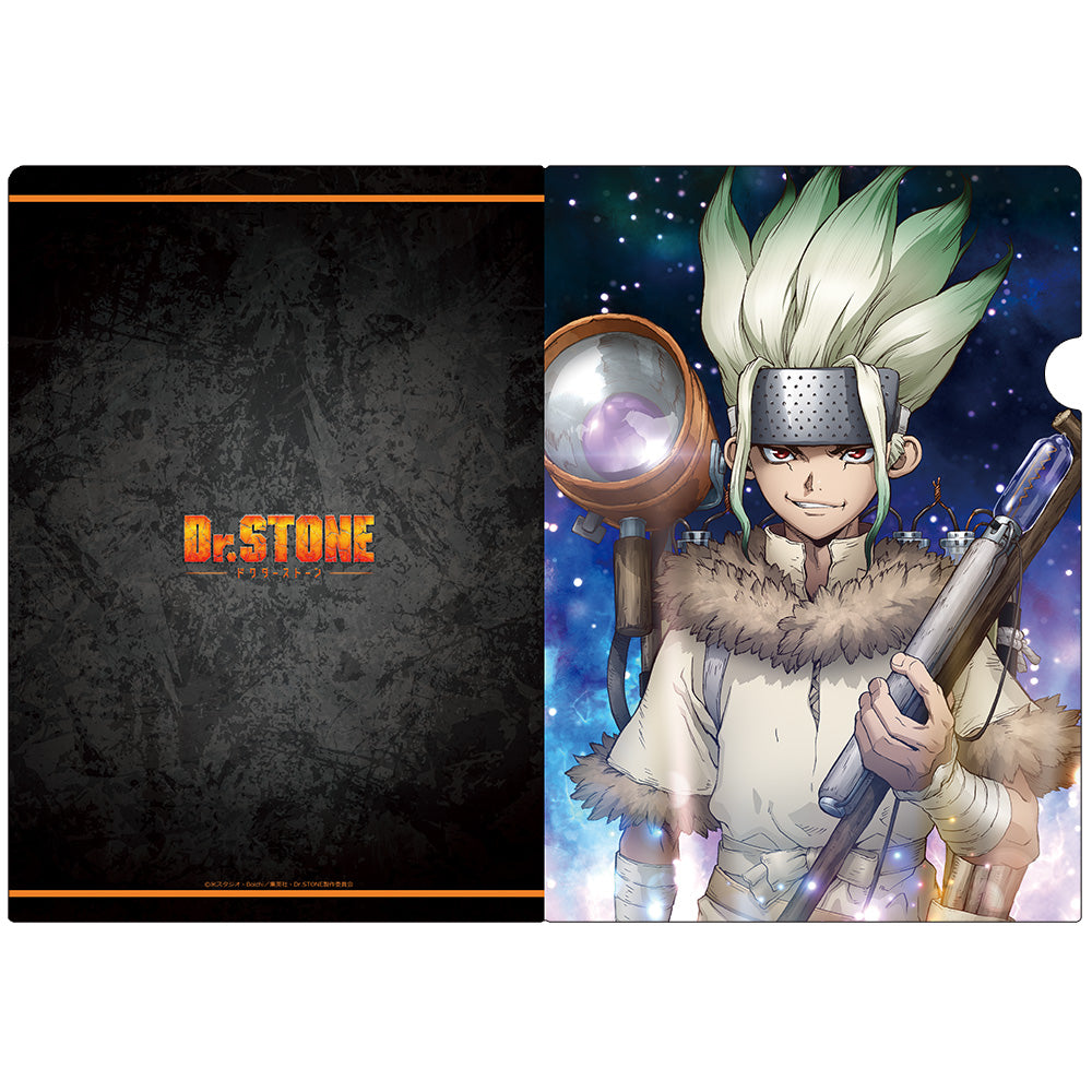 (Goods - Clear File) Dr. STONE Clear File C