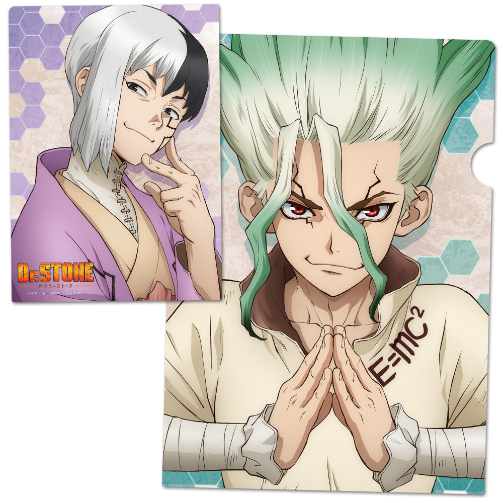 (Goods - Clear File) Dr. STONE Clear File D
