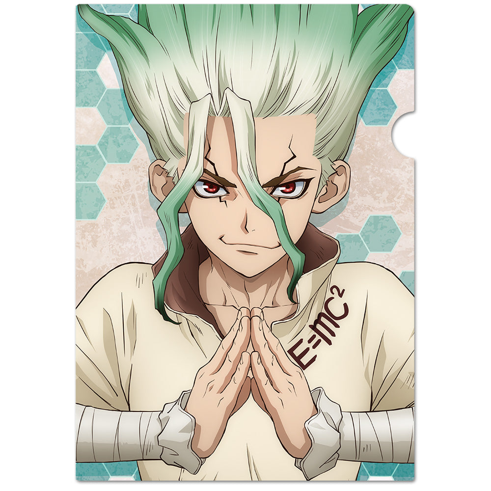 (Goods - Clear File) Dr. STONE Clear File D