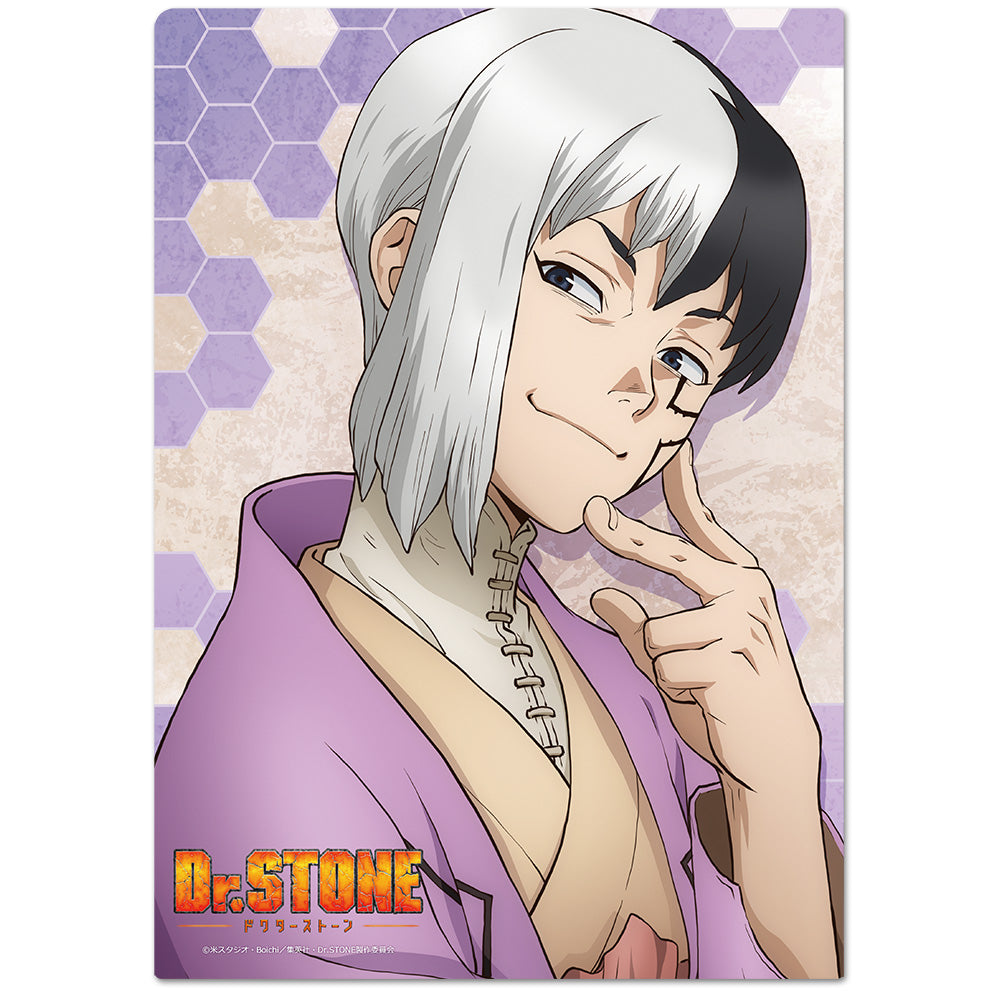 (Goods - Clear File) Dr. STONE Clear File D
