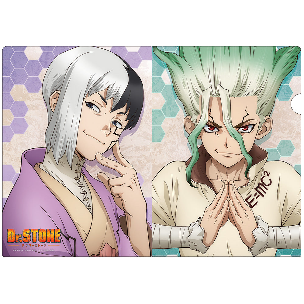 (Goods - Clear File) Dr. STONE Clear File D