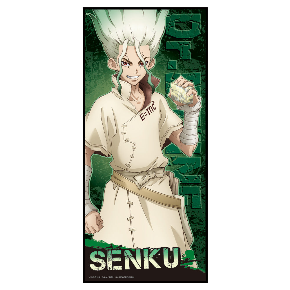 (Goods - Towel) Dr. STONE Character Big Towel A [Senku Ishigami]