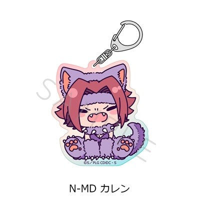 (Goods - Keychain) CODE GEASS Lelouch of the Rebellion Acrylic Keychain N-MD (Kallen) (animate Advance Sales)