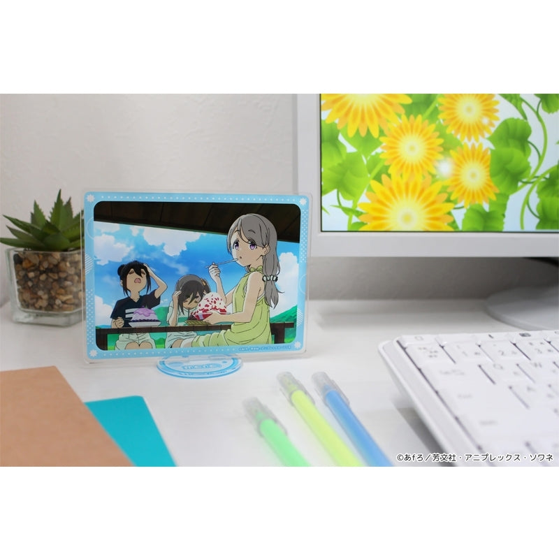 (Goods - Board) TV Anime - mono Acrylic Visual Board (B)
