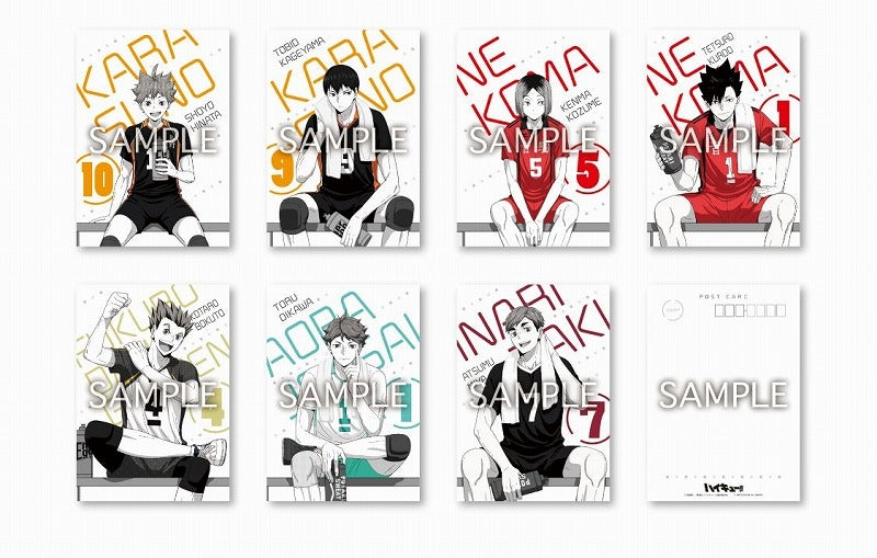 (Goods - Postcard) Haikyu!! "break time" A5 Postcard Set
