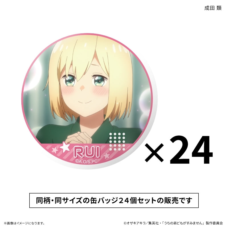 (Goods - Badge) Please Excuse My Younger Brothers Only-Badge Set Rui Narita Only Button Badge (24 PCS)