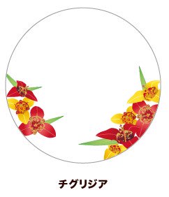(Goods - Button Badge Cover) 65mm Badge Deco-Cover 18 - Tiger Flower