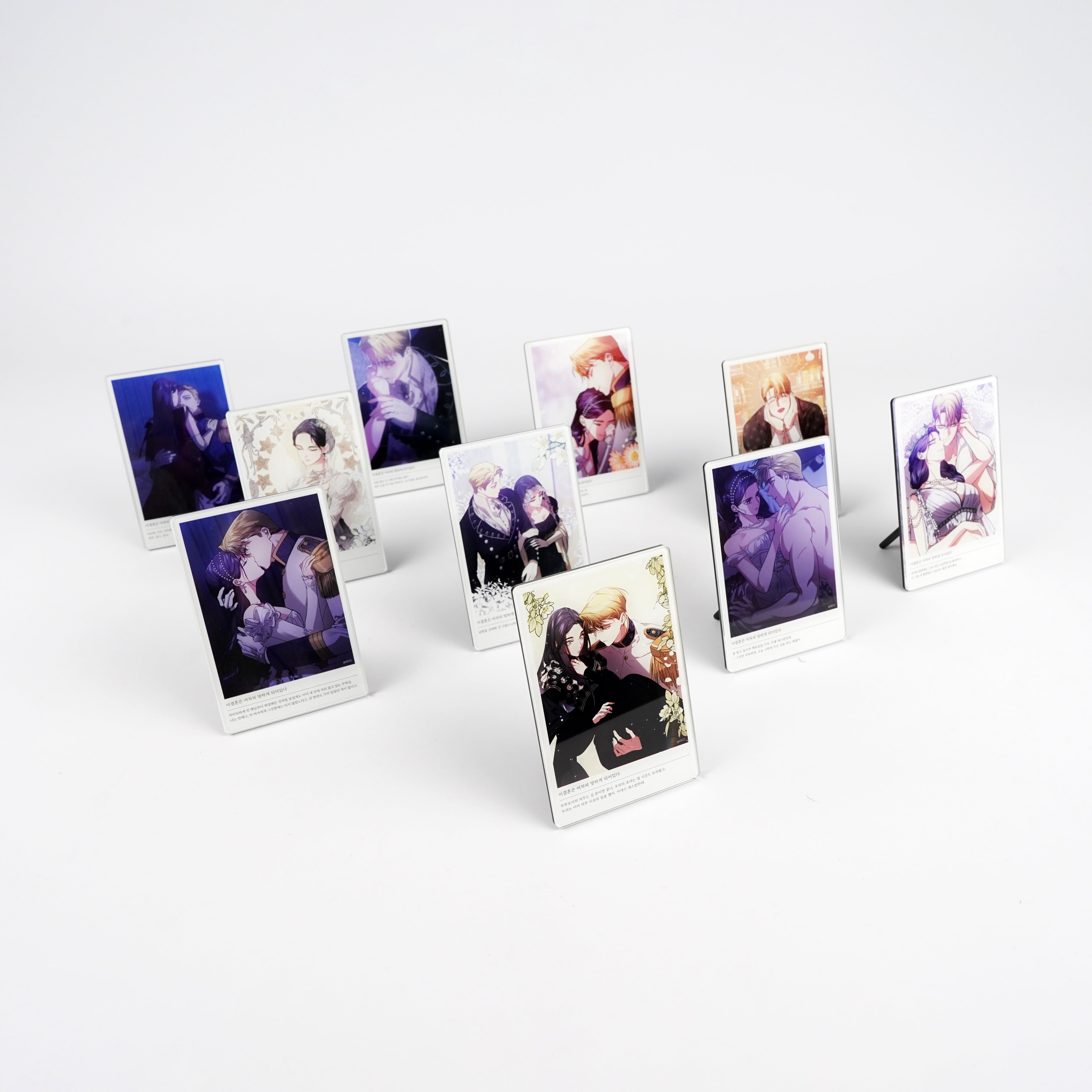 (Goods - Ornament) The Broken Ring: This Marriage Will Fail Anyway Acrylic Mini Frame 17-20