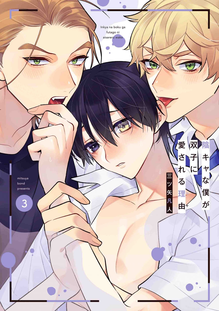 [t](Book - Comic) I'm an Introvert, So Why Are Twins in Love With Me? (Inkya na Boku ga Futago ni Aisareru Wake) Vol.1-4 [4 Book Set]