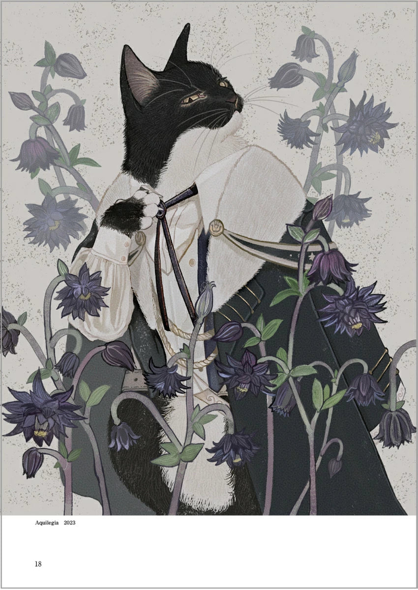 (Book - Art Book) Nekozurari Mai Ono Art Collection