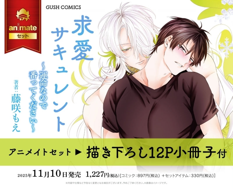 (Book - Comic) Courtship Succulent ~ It's fate, so please be my lover (Kyuuai Succulent)