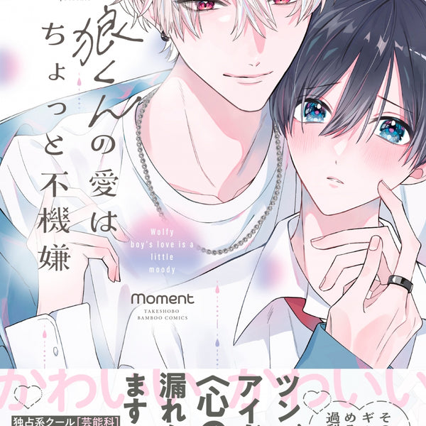 Boys' Love Manga