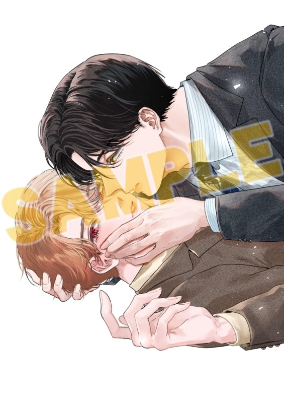 (Book - Comic) Shake Up Innocence (Yusabure Junjou)