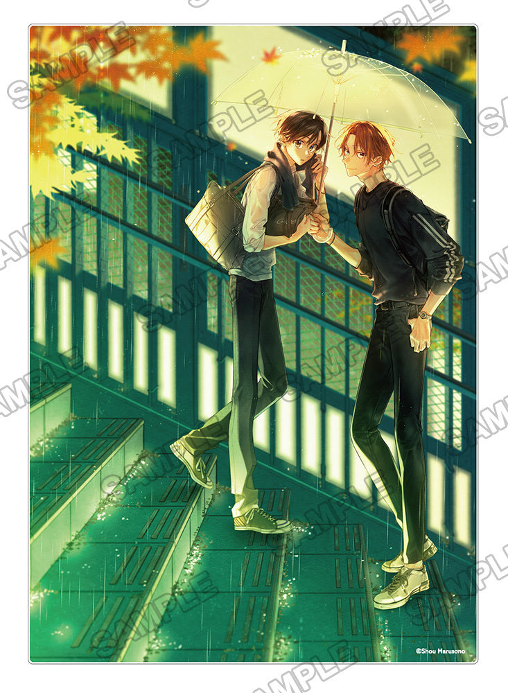 (Goods - Ornament) Sasaki and Miyano Acrylic Panel B Illustrated by Shou Harusono