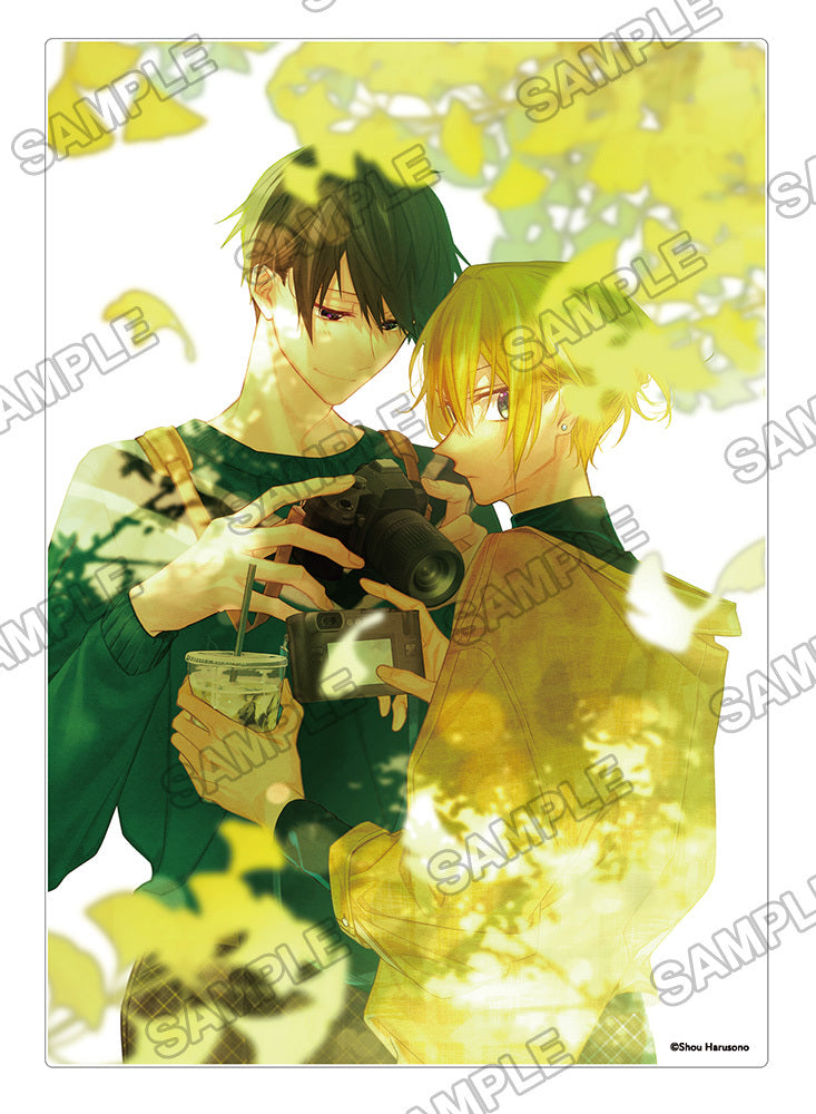 (Goods - Ornament) Hirano and Kagiura Acrylic Panel B Illustrated by Shou Harusono