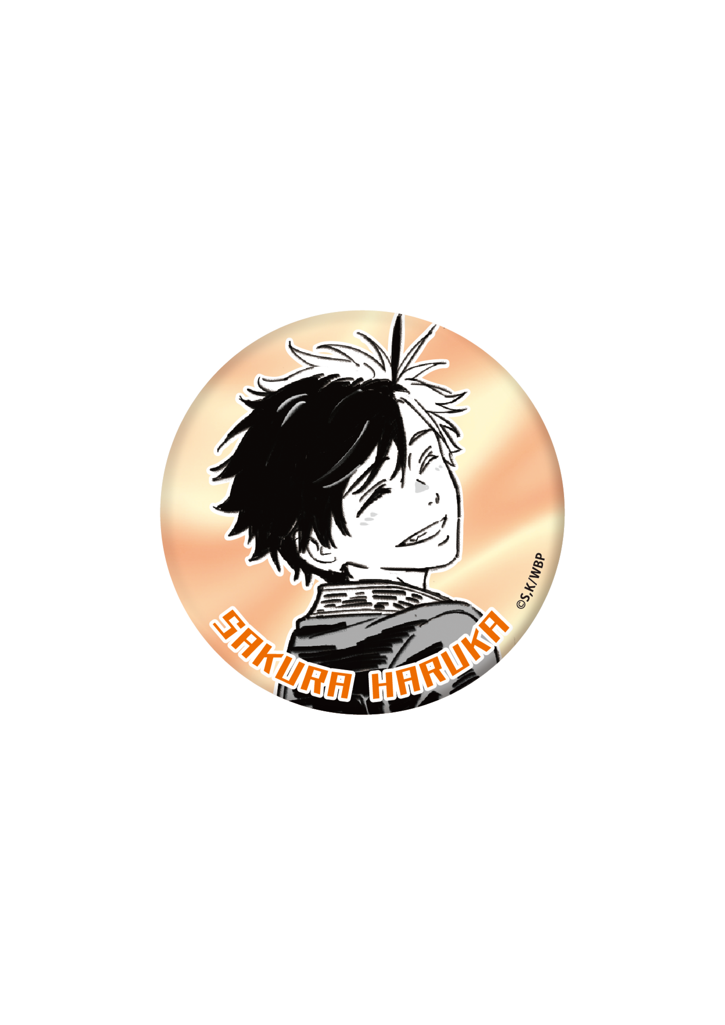 [※Blind](Goods - Badge) WIND BREAKER Dubbing Script Art Button Badge Collection