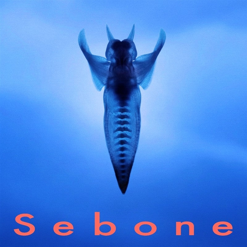 [a](Music) Sebone by TOTA [spinal column Edition]