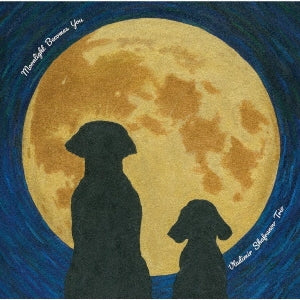 [a](Album) Moonlight Becomes You by Vladimir Shafranov Trio [Vinyl Record]
