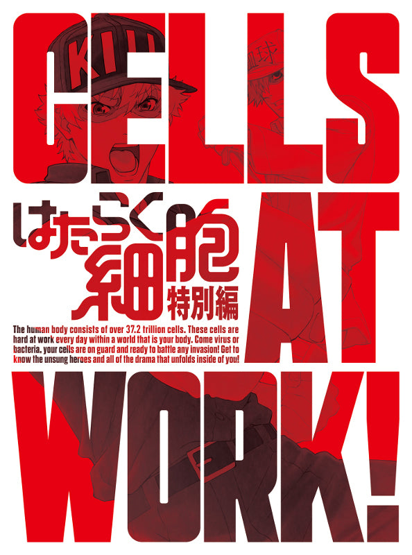 (Blu-ray) Cells at Work! TV Series Special Episode [Complete Production Run Limited Edition] Animate International