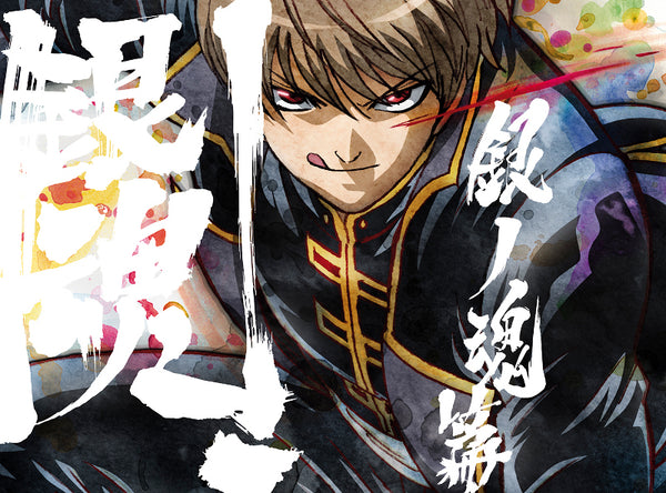 (DVD) Gintama. TV Series Silver Soul Arc Vol. 5 [Production Limited Edition] Animate International