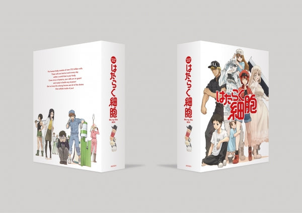 (Blu-ray) Cells at Work! TV Series Blu-ray Disc BOX [Complete Production Run Limited Edition]
