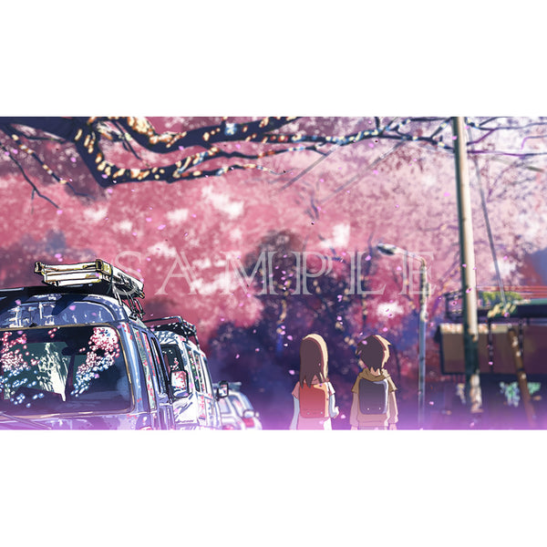 (Goods - High Resolution Print) Shinkai Makoto Works Still Photography Collection 5 Centimeters Per Second Type A