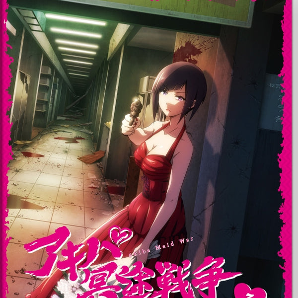 Akiba Girls [Blu-ray] [Region Free] [Blu-ray] Armed Girls