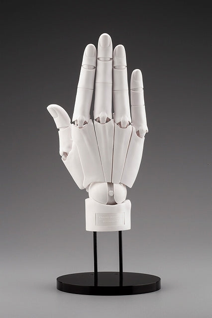 (Action Figure) ARTIST SUPPORT ITEM Takahiro Kagami Hand Model /R -WHITE-