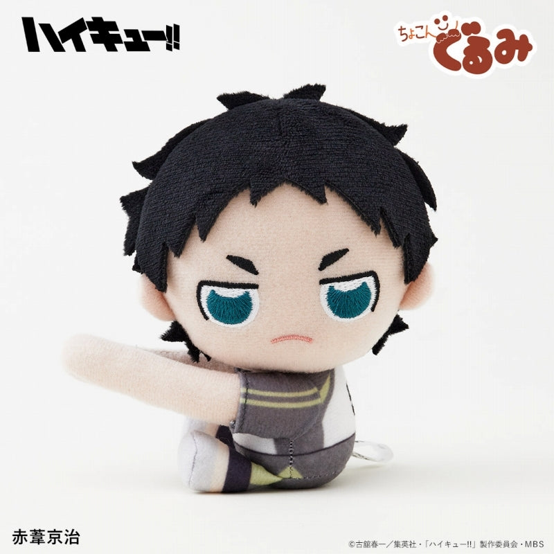 (Goods - Mascot) Haikyu!! Chokongurumi Gyutto Holder Keiji Akaashi