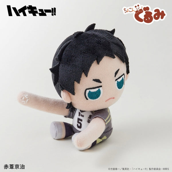 (Goods - Mascot) Haikyu!! Chokongurumi Gyutto Holder Keiji Akaashi