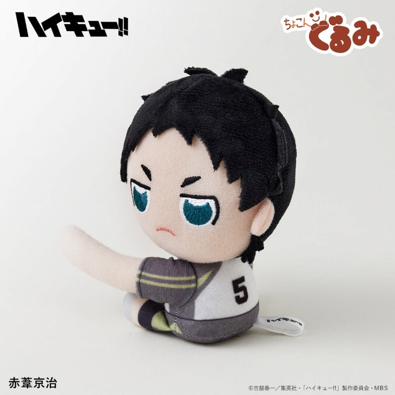 (Goods - Mascot) Haikyu!! Chokongurumi Gyutto Holder Keiji Akaashi