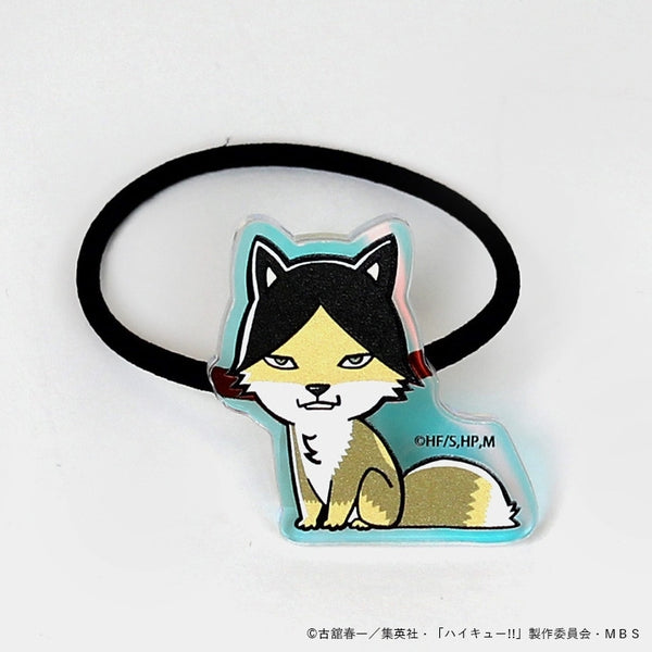 (Goods - Hair Tie) Haikyu!! Iridescent Rubber Hair Tie Suna Fox