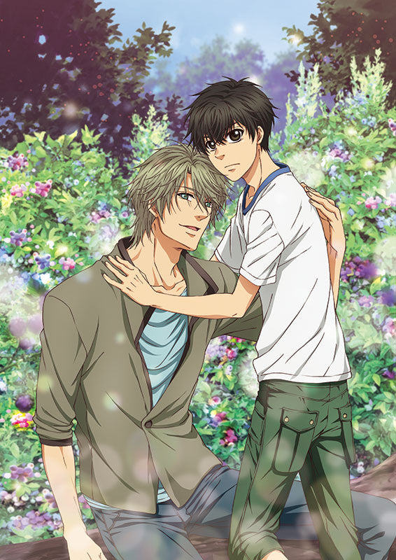 (DVD) SUPER LOVERS 2 Vol.1 [w/ CD, Limited Edition] Animate International