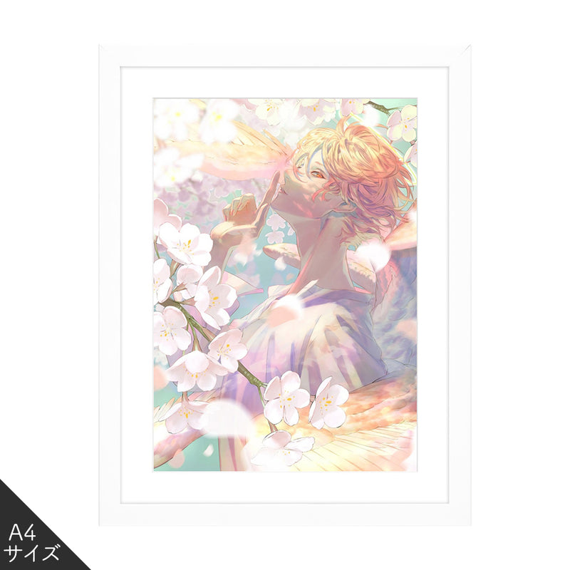 (Goods - High Resolution Print) Boys Gallery Fasna Chara-fine Sakura A4 Size (Signed by the Artist) Animate International